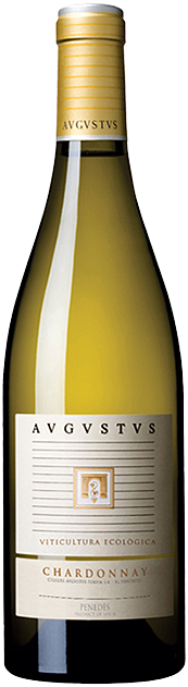 Avgvstvs Chardonnay 1 van de beste van spanje